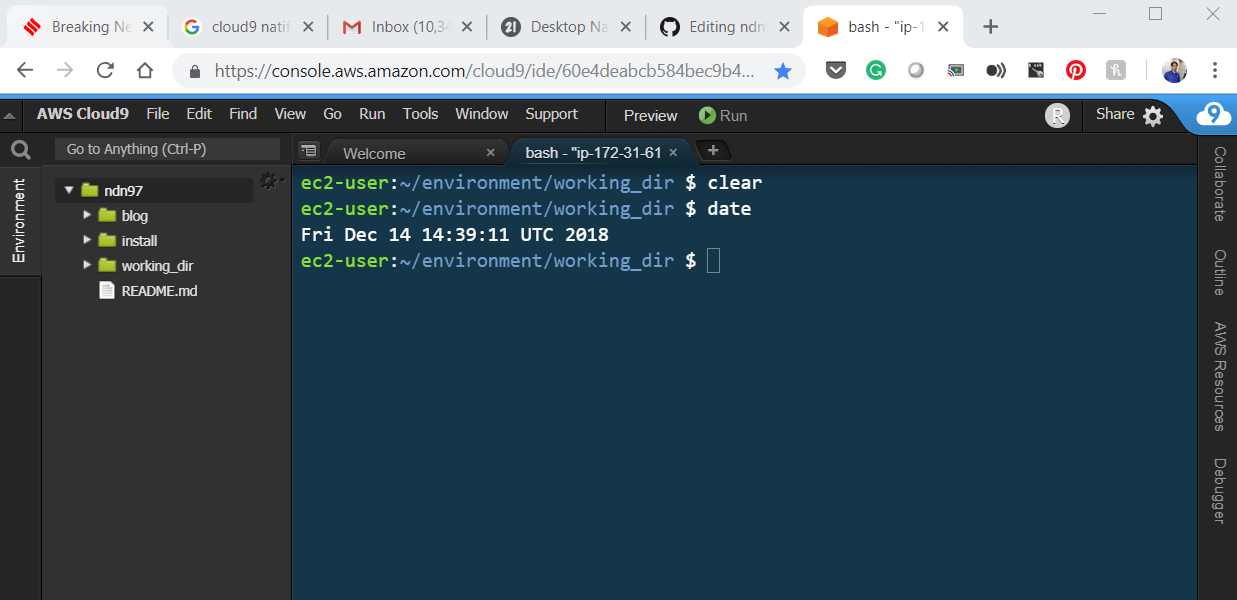 Cloud9 Running in Browser